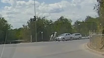 Ақтөбеде жылқы мен автокөлік соқтығысты: 15 жастағы шабандоз жарақат алды