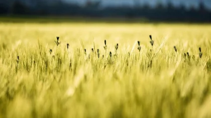 Қазақстанның бірнеше өңірінде дабылды ескерту жарияланды