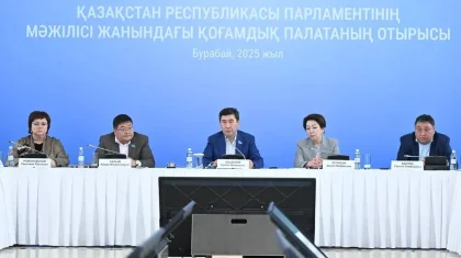 Зорлық-зомбылыққа қарсы заң қабылданғаннан кейін қылмыс қалай азайып жатыр