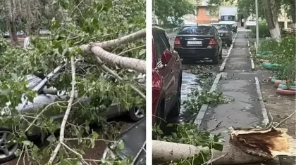 Ақсуда жойқын дауылда қаза болған әйелдің отбасына қандай көмек көрсетеледі