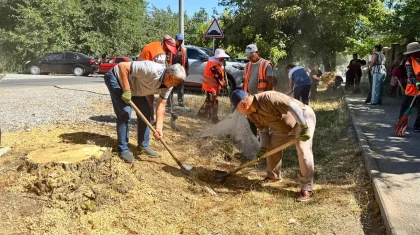 «Таза бейсенбі» акциясы: ел бойынша 2000 тоннадан астам қоқыс жиналды