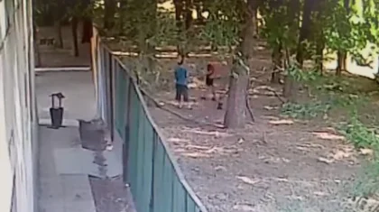 Үш ит баланы талап тастаған: иттердің иесі оқиға күнгі видеоны жариялады (ВИДЕО)