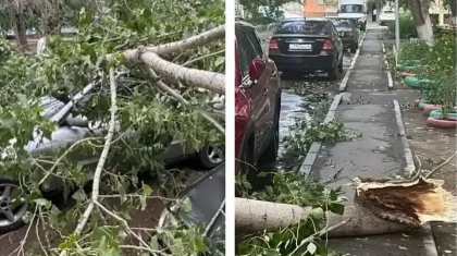 Ақсудағы дауылдан кейін қала басшылығына сөгіс жарияланды