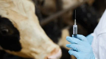 Еліміздегі 2,2 мың ветеринариялық пунктің 71 пайызы талапқа сай болмай шықты
