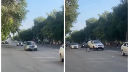 Павлодарда бойжеткен көлік жолына шығып алып, оғаш қылық көрсетті (ВИДЕО)