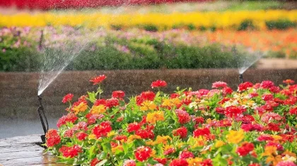 43 градусқа дейін ыстық болады: 19 шілдеде Қазақстанда дабылды ескерту жарияланды