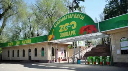 «Өліміне себеп болады»: Алматы хайуанаттар бағында жануарларды тамақтандыруға тыйым салынды