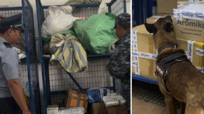 Жетісу облысының полициясы «Қазпоштаның» сәлемдемелерін жаппай тексеріп жатыр (ВИДЕО)