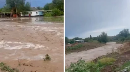 Жетісу облысында Сарыөзек ауылын су басып қалды (ВИДЕО)