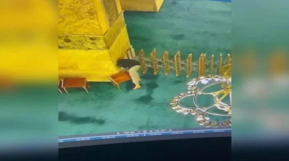 Ыстамбұлдағы әйгілі Айя-София мешітіне от қоймақ болған ер адам ұсталды