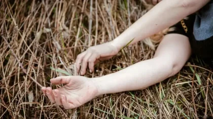 Алматыда ағаш бұтағы құлап, көз жұмған бойжеткеннің оқиғасы: әкімдік түсініктеме берді