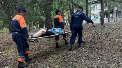 Орманға саңырауқұлақ теруге кеткен қыз құтқарушыларды шақыруға мәжбүр болды