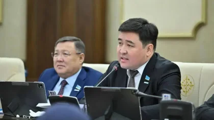 «Ерекше балаларды күтетін адам 180 мың теңге жалақы алады»: депутат мамандардың айлығын көтеруді ұсынды