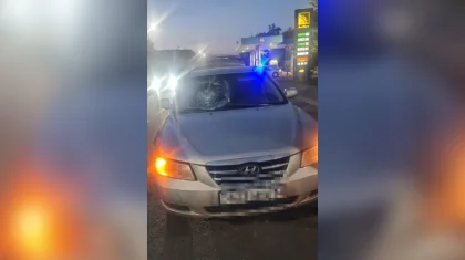 Павлодарда мас адам көшені кесіп өтемін деп көлік астына түсті