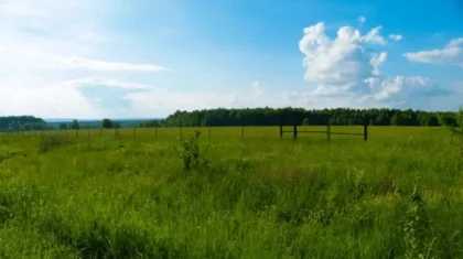 Тоқаев мемлекетке қайтарылған барлық жерді бөліп беруді тапсырды