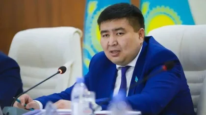 Бір палаталы парламент кезінде партиялар күшейе түседі – депутат