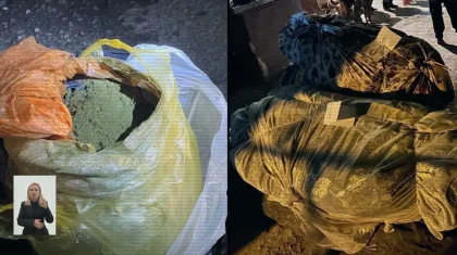 Қазақстанда соңғы үш айда ондаған есірткі алқабы табылды