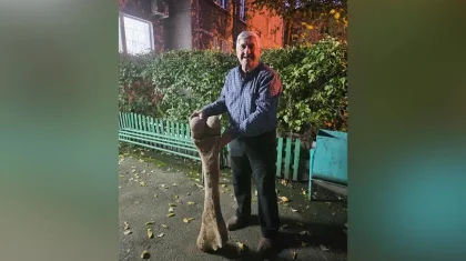 СҚО-да Есіл өзенінен мамонттың алып сүйегі табылды