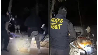 Ақтөбеде мал ұрылары ұрлаған жылқының ішек-қарнын ақтарып жатқан жерінен ұсталды (ВИДЕО)