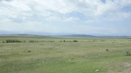 Экс-шенеуніктердің 21 мың га жері мемлекетке қайтарылды