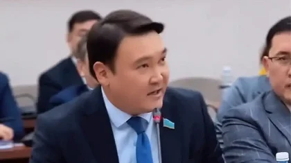 ШОБ несиесіне субсидия кешіксе, кәсіпкерлердің сенімі шайқалады - Мақсат Толықбай