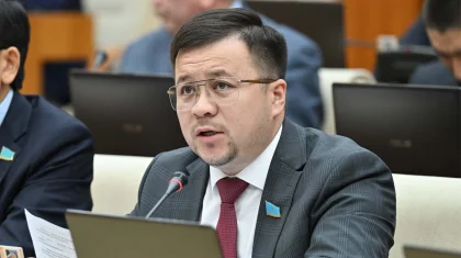 «Бизнестің жол картасы» аясындағы 1,4 млрд теңгенің 30 пайызы жұмыс істемейтін кәсіпорындарға кеткен - депутат