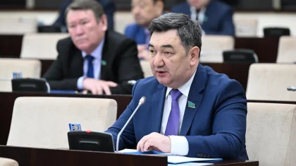 Сенатор Үкіметтен музыкалық аспап шеберлеріне кәсіби мәртебе беруді сұрады