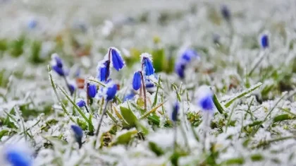 Кей өңірлерде -5° болады: 6 қазанда елімізде күн суытады