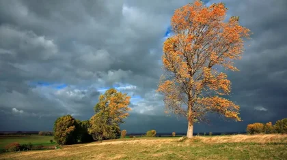 Қазақстанның 11 өңірінде дауылды ескерту жарияланды