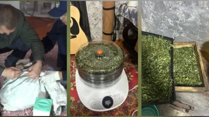 ШҚО-да ірі көлемде есірткі өсірді деген күдікпен жас жігітпен қолға түсті
