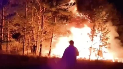 Абай облысында тасжолға шығып кеткен бұлан жол апаты мен орман өртіне себеп болды (ВИДЕО)