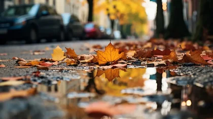 Астана әкімдігі тұрғындарды кең ауқымды сенбілікке қатысуға шақырды