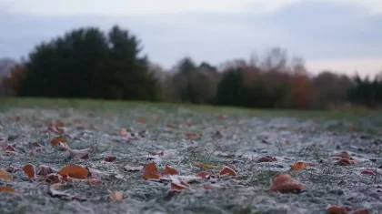 Астана мен 15 өңірде дауылды ескерту жарияланды