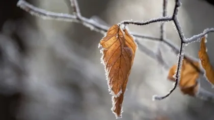 Солтүстікте – 13 градус суық, оңтүстікте – 26 градус ыстық: сәрсенбіге арналған ауа райы болжамы жарияланды