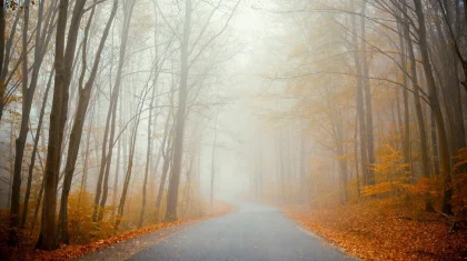 Қазақстанның 14 өңірінде дабылды ескерту жарияланды