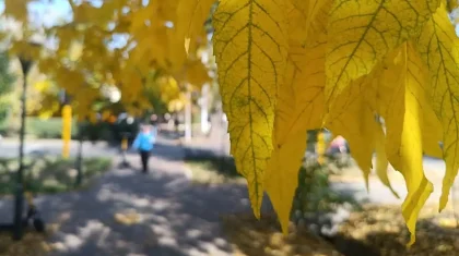 Қазақстан аумағының басым бөлігінде күн ашық болады