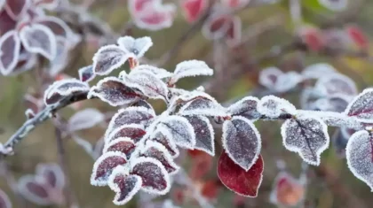 Елімізде 22 қазанда ауа райы қандай болады
