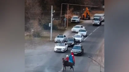 Алматы облысында 3 жас жігіт жолдағы әрекеті үшін көлік жүргізу құқығынан айырылды