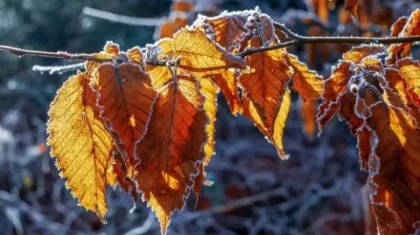 Синоптиктер 26 қазанға арналған ауа райы болжамын ұсынды