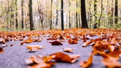 Елімізде 26 қазанда ауа райы қандай болады