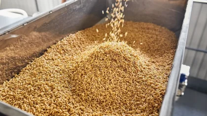 Қостанай облысында 250 млн доллар тұратын агрокешен салынады