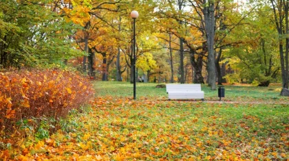 Синоптиктер 28 қазанда ауа райы қандай болатынын болжады