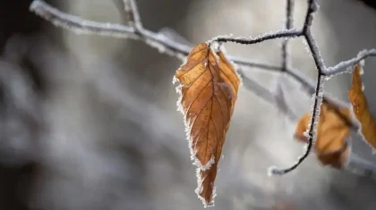 Жаңбыр жауып, үсік жүреді: бірнеше өңірде дабылды ескерту жарияланды