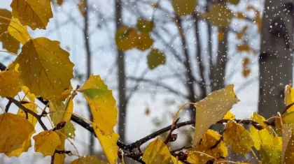 Еліміздің бірнеше өңірінде дабылды ескерту жарияланды