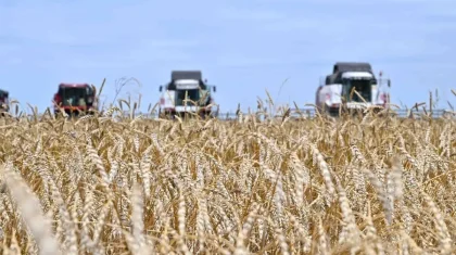 Ауыл шаруашылығы субсидиясы бойынша берешек 300 млрд теңгеден асты