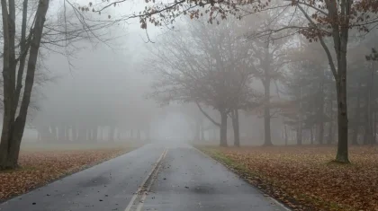 Қазақстанның 14 өңірінде дауылды ескерту жарияланды