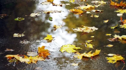 Жаңбыр жауады: елімізде 2 қарашада ауа райы қандай болады