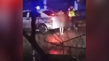 Павлодарда тырдай жалаңаш ер адам мектептің маңында жүрген жерінен көзге түскен (ВИДЕО)