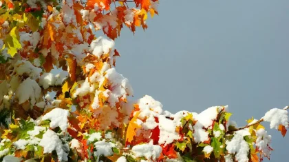 Қар жауады: 4 қарашада елімізде ауа райы қандай болады