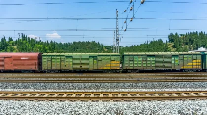 Астанадан Аршалыға жеткен: жүк пойызымен «серуендеп жүрген» 8-11 жастағы үш бала ұсталды